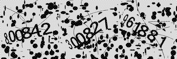 Please enable image downloads in your browser.