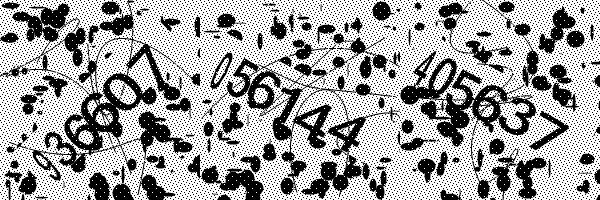 Please enable image downloads in your browser.