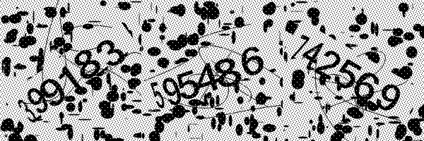 Please enable image downloads in your browser.