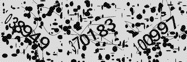 Please enable image downloads in your browser.