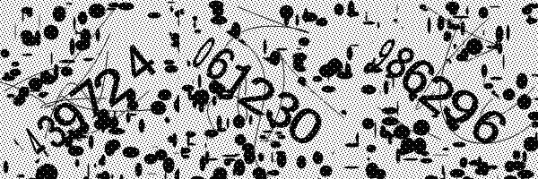 Please enable image downloads in your browser.