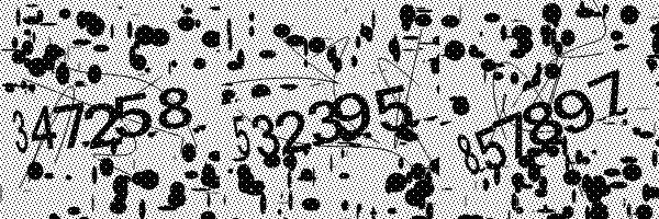 Please enable image downloads in your browser.
