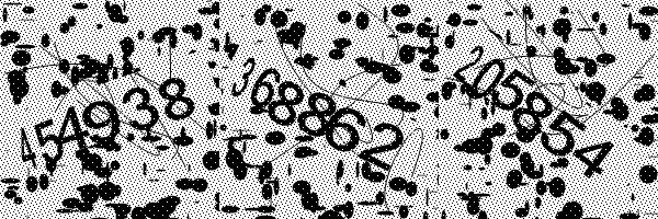 Please enable image downloads in your browser.